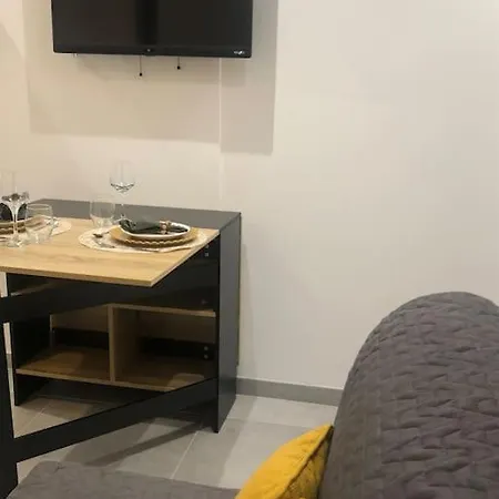 Appartement T2 Situe Au Centre De Grenoble