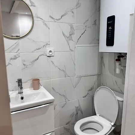 Appartement T2 Situe Au Centre De Grenoble